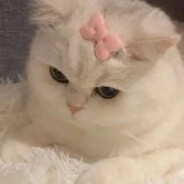 指引明路的苍蓝星