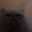 I am Rage Baiting