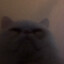 I am Rage Baiting