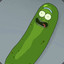 Pickle Rick(Wubba Lubba Dub Dub)