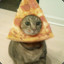 PizzaCat