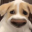 小Y来也