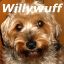WillyWuff