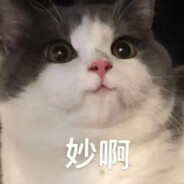 宝宝巴士 100h内