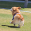 FluffyBum