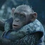 Bad Ape