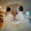 wwwwwwwwwwwwwwwwwwwwwwwwwwwww's avatar