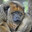 MonkeThatLoses :(