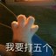 rocky861495901