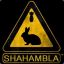 [BunY] Shahambla