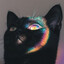 ZywOooups