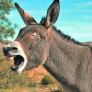 CSGOSKINS Djole Magaraševic