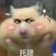 洞洞幺