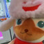 salmonskin_