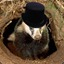 Fancy Badger