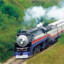 The Train Man