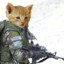 SergeantMeows