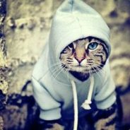 Hello ☯ epta! - steam id 76561197970984128