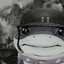 AlexTheTurtle