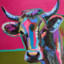 TheColorfulCow