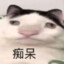 咆哮大地瓜