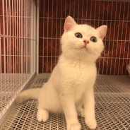 超级大的蛇皮棒棒mmmm丶