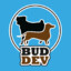 BUD_DEV