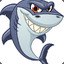 contreras_shark