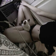 KLEKS CSGOSKINS .CASE.GIFTs - steam id 76561199248783443