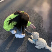 重生之极品狂少