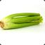 Celery (Hcart)