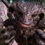 NightLizard