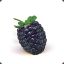 FatBlackBerry