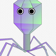 没有遗传物质的噬菌体