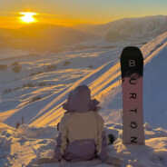 皎若太阳升朝霞