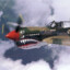 FlyingTigers