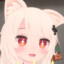 一只光猫