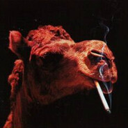 Larry The Cool Camel