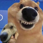 不在倒一就算win