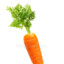 Angry Carrot Man