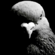 Rento - steam id 76561199080176797