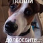 Бездарщина