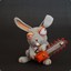 CRazy Rabbit^Broo