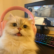 姐夫开门我是我姐