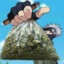 bowlogg19