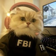 嘴笨人呆枪也歪