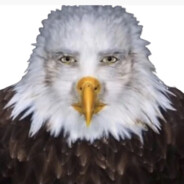 FURIA GOLD huggebugge88