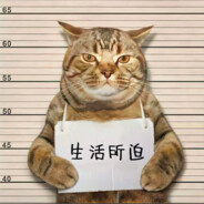 柳职乌鸡哥#CSGO周年快乐