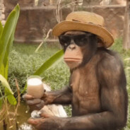 straw hat monkey