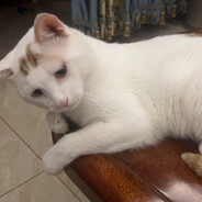 我小叮当今天就要搞静香丶